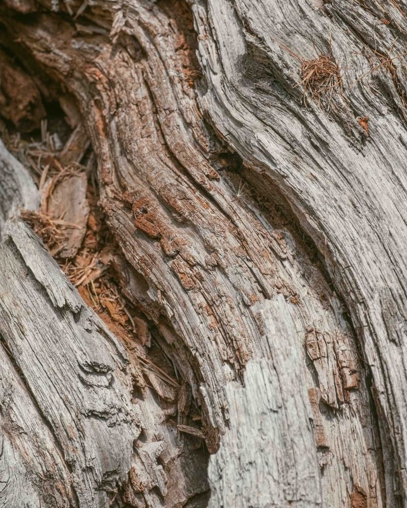 Design sans titre (5)